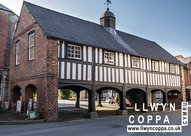 Llanidloes near llwyn Coppa Holiday Cottages